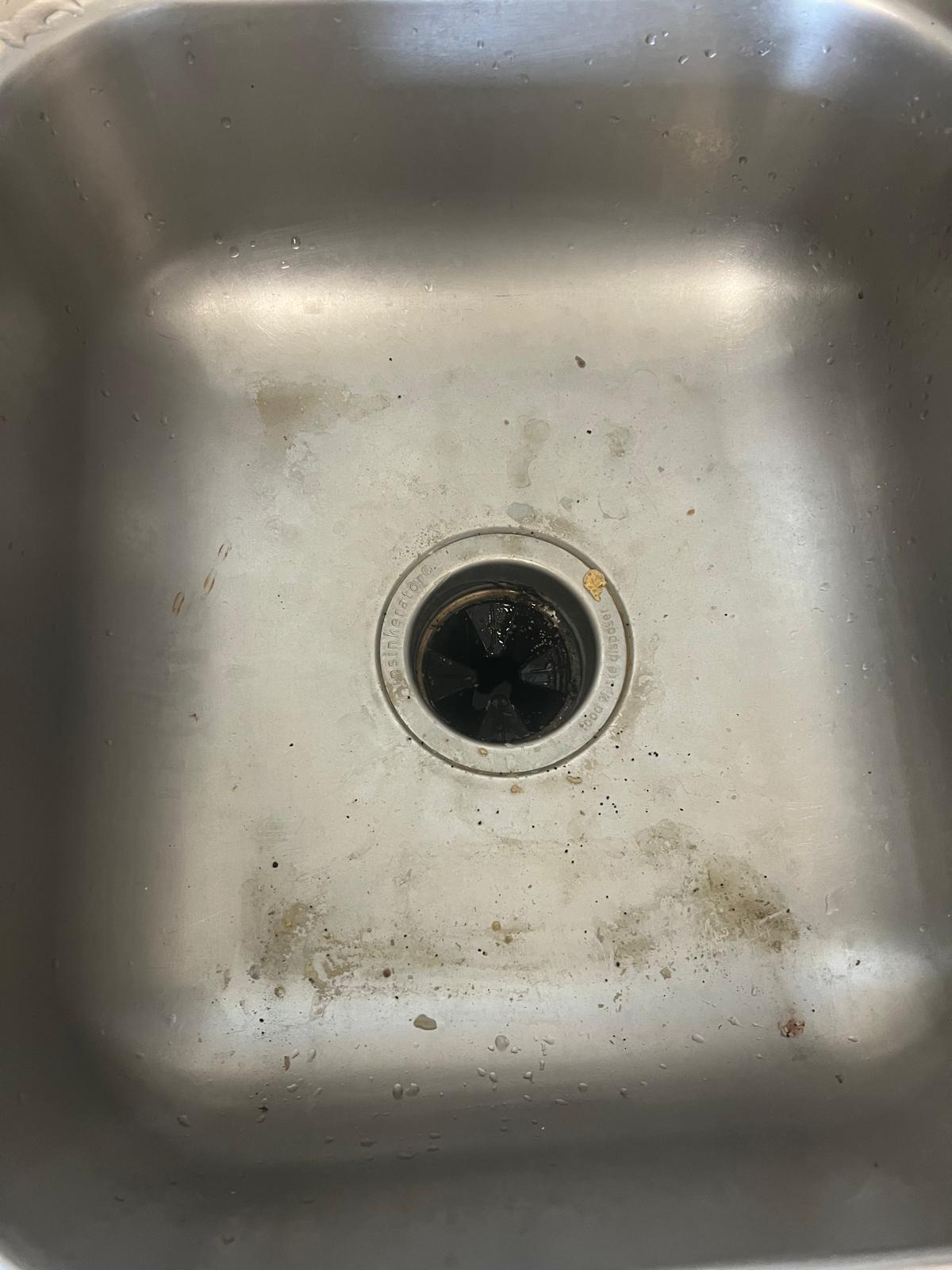 WhatsApp Image 2026-03-10 at 00.30.41