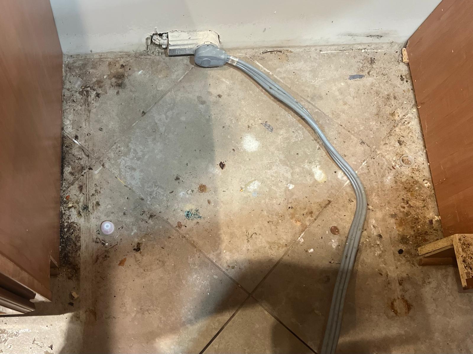 WhatsApp Image 2026-03-10 at 00.38.57