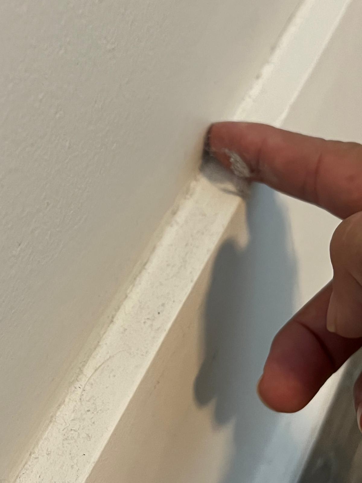 WhatsApp Image 2026-03-10 at 00.56.04 (2)